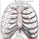 성하갈비 이미지