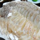 수시호 이미지