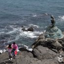 해운대 관광특구 Daum카페