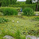 장자호수공원 이미지