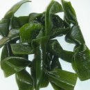 삼인당한의원 이미지