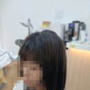 [광명미용실] 다옴헤어에서 톤다운 염색하고왔어요