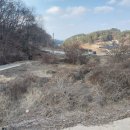 소일농장 이미지