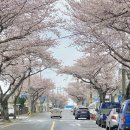 동신이용원 네이버블로그