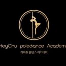 헤이츄폴댄스아카데미 네이버블로그
