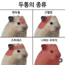 삐까뻔쩍 이미지