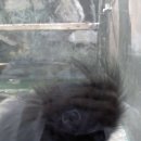 서울대공원 이미지