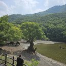 주산지 주차장 | [청송 여행] 가볼 만한 곳 주왕산 주산지 | 물에서 자라는 왕버들나무