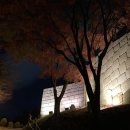 빠리쟝제과점 | 부산 동래읍성 북장대 야경 후기(주차, 코스, 소요시간, 신가네 떡볶이, 빠리쟝 베이커리 등)