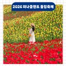 감탄떡볶이충남아산트라 | 아산 피나클랜드 튤립축제 할인 주차 2026 개화시기