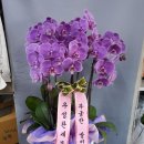 대광약국 이미지