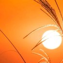 창진농장 이미지