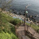 영도주단 이미지