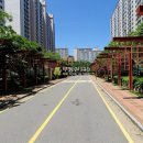 용호2로 이미지