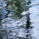 발산세탁소 이미지