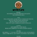 멍라이프 이미지