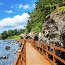 포항시남구58 | 제주 올레길 안 부럽다 — 포항 호미반도 해안둘레길 58km, 방문 전 완벽 가이드