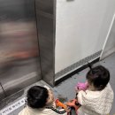 시민과 함께하는 수묵, 체험 만들기 | 부산 아이랑 가볼만한 제6회 부산봄꽃전시회 : 부산시민공원 ☺️