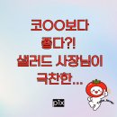 다이소경산 | 경산 다이소-코OO보다 좋다?! 샐러드 사장님이 극찬한 탈수기 & 3천원 브랜드 모자 득템 썰 🛒