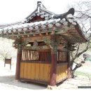 삼랑진로 이미지