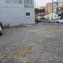 청정오리떼 이미지