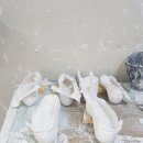 바른의수족제작연구소 이미지