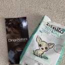 딩고 | 강아지눈물사료 고민 끝🐶｜딩고나투라 저알러지사료 급여 후기