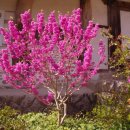 (주)서삼 이미지