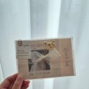 포토그레이진주하대점 | [W11. 웨딩일기] 프로브 PROVE 유니크한 청접장 제작 후기_내돈내산