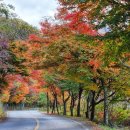 원기마을 입구 이미지