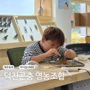 용늪마을영농조합법인 | 제주 비오는날 아이랑 체험, 덕천곤충 영농조합 곤충표본 만들기