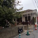 대구 삼덕동 근처 카페추천 | 테라스 맛집 ‘선댄스팜’ 디저트&amp;커피 후기