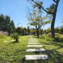 팔용당저수지 이미지