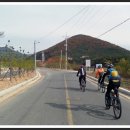 중앙초교화남분교 이미지
