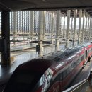 이리역 | 스페인 이리요 iryo 기차 수하물 규정 아토차역 캐리어 검사 후기