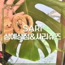 우연히 들른 상점