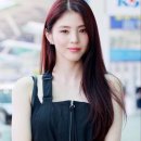 레드쿨헤어 이미지