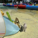 지에스(GS)25 보령오천항점 | 보령 머드축제 강아지 동반 여행 :: 보령 머드축제 펫비치 펫존 다녀왔던 후기 :)