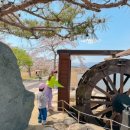 경포물레방아 이미지