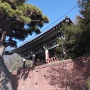 꽃자락 | 비봉산 남쪽 자락에 둥지를 튼 90년 묵은 누각, 진주 비봉루