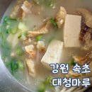 속초 순두부 맛집 대청마루 아기랑 방문 후기