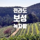 대한다원화장실 이미지