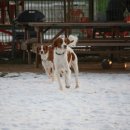 번개랜드 이미지