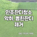 인조잔디청소 악취와 뽑힌잔디 제거로