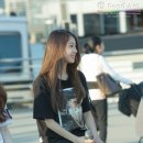 The Ark(디아크) Daum카페