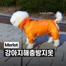 MERLOT 멀로, 강아지해충방지옷 진드기보호 버그가드 <내돈내산 후기>