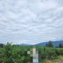 유픽(U-PICK) 이미지