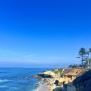 미라클덴탈 | 코브, 로스엔젤레스 LA 공항(LAX) 스타얼라이언스 라운지, LA-인천 아시아나 OZ203후기 그리고 임밍아웃👶🏻