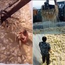 돈앤카우 이미지