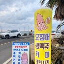 씨유제주귀덕해안도로점 | 카페 추천 제주 해안도로 카페 제주 한림 카페 반건조 오징어 생맥주 맛집 카페인어 내돈내산 솔직 후기